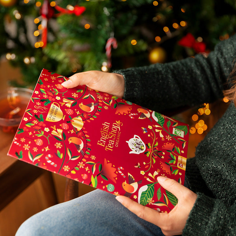 Calendrier de l'Avent thés et infusions bio Livre de Noël 24 sachets