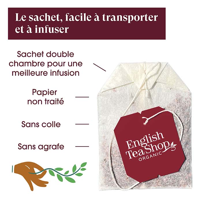 Assortiment de thés glacés Bio 20 sachets