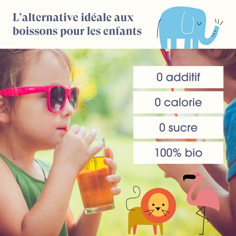 Assortiment infusions pour Enfants Bio 20 sachets