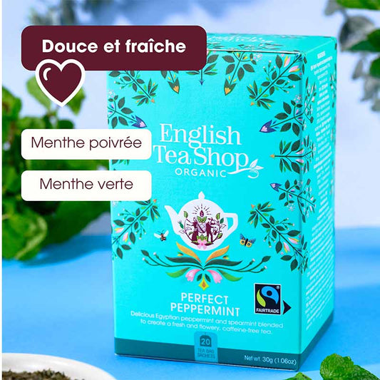 Infusion Menthe Intense Bio 20 sachets