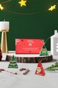 Coffret Personnages de Noël à Décorer Bio 6 sachets ETS