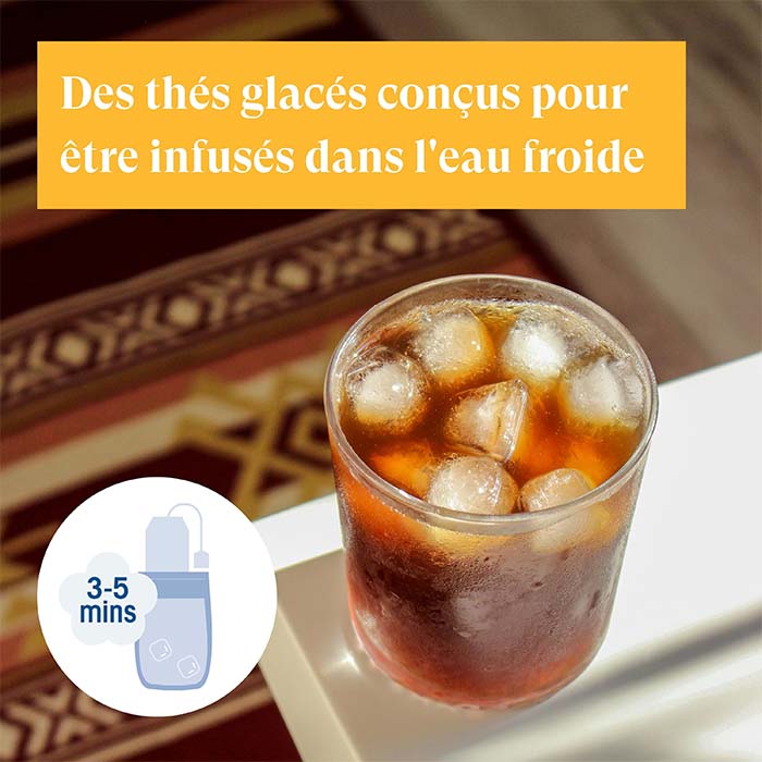 Assortiment de thés glacés Bio 20 sachets
