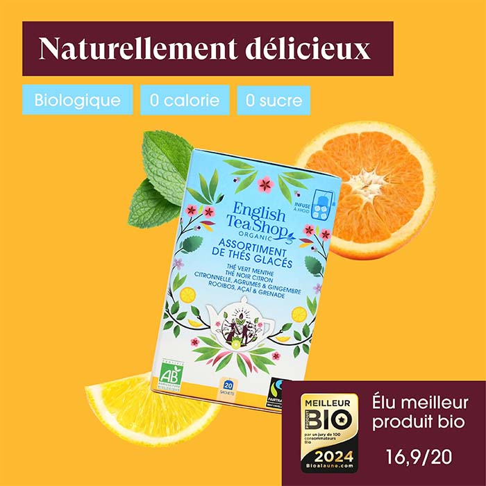 Assortiment de thés glacés Bio 20 sachets