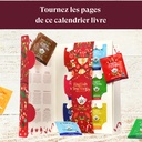 Calendrier de l'Avent thés et infusions bio Livre de Noël 24 sachets