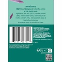 Thé Glacé infusion à froid Thé Vert Menthe Bio 20 sachets
