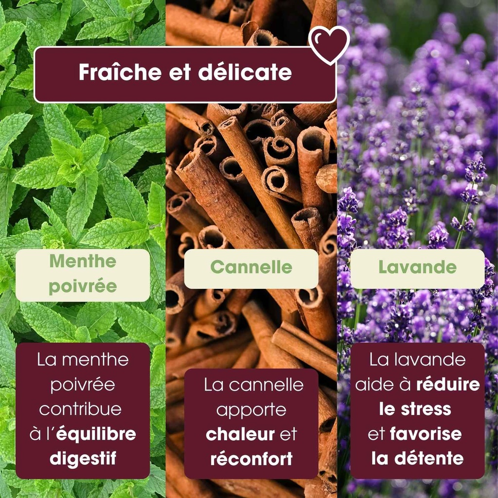 Calm Me Bio English Tea Shop