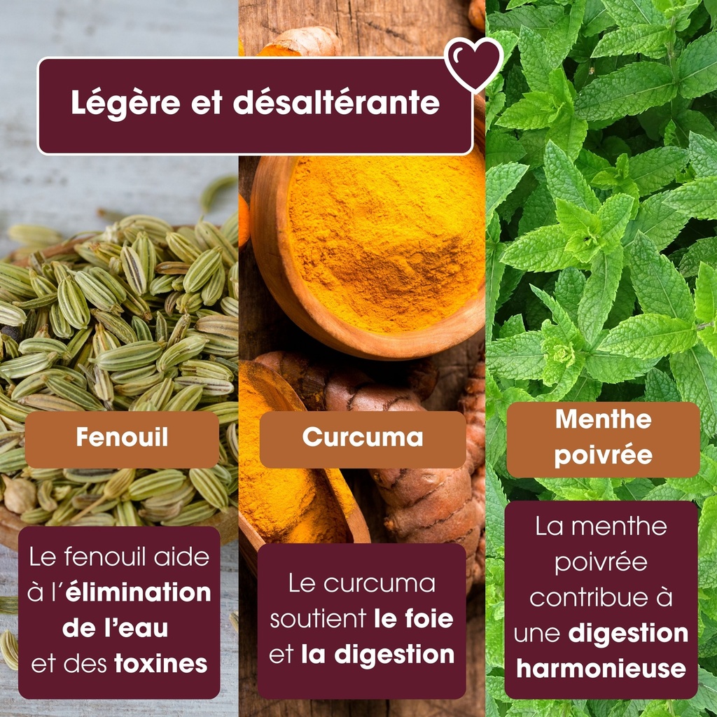 Infusion Pure Me Bio English Tea Shop